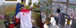 jasa anti rayap fumida