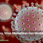 Virus Zika, Virus Mematikan Dan Mudah Menular